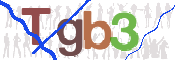 CAPTCHA Bilde
