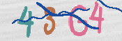 CAPTCHA Bilde