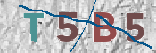 CAPTCHA Bilde