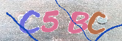 CAPTCHA Bilde