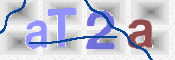 CAPTCHA Bilde