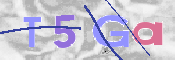 CAPTCHA Bilde