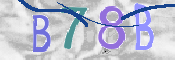 CAPTCHA Bilde