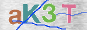 CAPTCHA Bilde