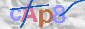 CAPTCHA Bilde