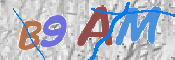 CAPTCHA Bilde