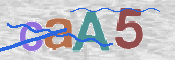 CAPTCHA Bilde