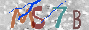 CAPTCHA Bilde