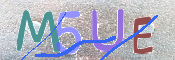 CAPTCHA Bilde