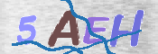 CAPTCHA Bilde