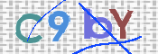 CAPTCHA Bilde
