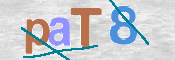 CAPTCHA Bilde