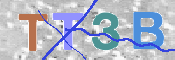 CAPTCHA Bilde