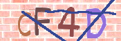 CAPTCHA Bilde