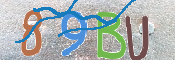 CAPTCHA Bilde