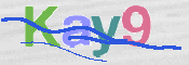 CAPTCHA Bilde
