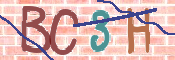 CAPTCHA Bilde