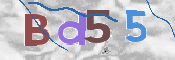 CAPTCHA Bilde