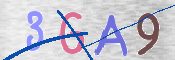 CAPTCHA Bilde