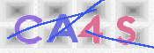 CAPTCHA Bilde