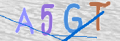 CAPTCHA Bilde