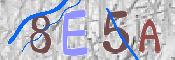CAPTCHA Bilde