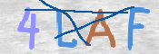 CAPTCHA Bilde