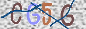 CAPTCHA Bilde