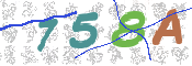 CAPTCHA Bilde