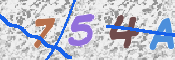 CAPTCHA Bilde