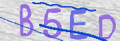 CAPTCHA Bilde