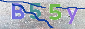 CAPTCHA Bilde